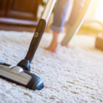 Carpets Professionally Clean