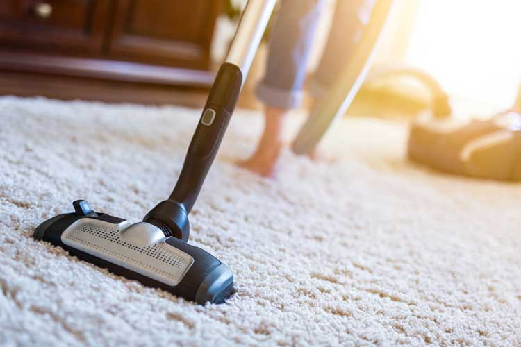 Carpets Professionally Clean