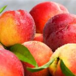 Nectarine Peaches