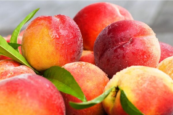 Nectarine Peaches